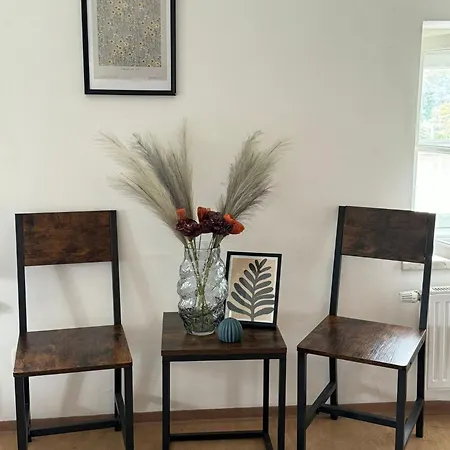 Apartment Salzach