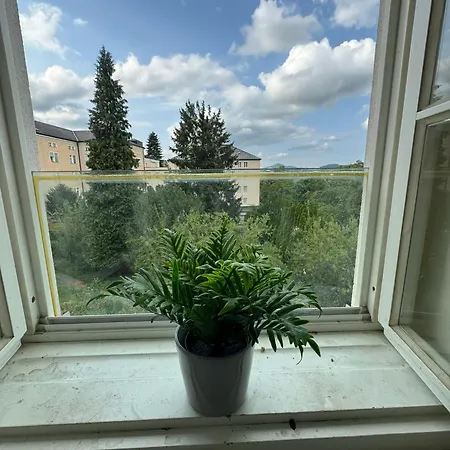 Salzach Daire Salzburg