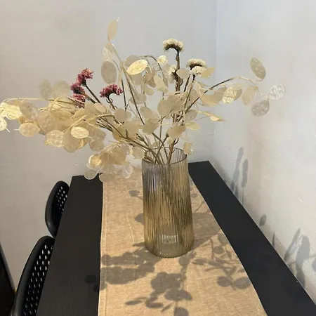 Appartement Salzach Salzburg
