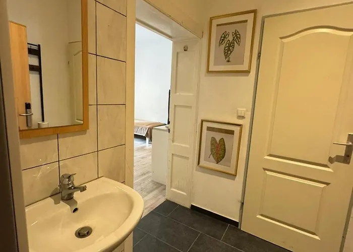 Salzach Lejlighed Salzburg